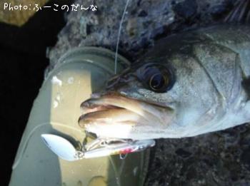 �����Х�