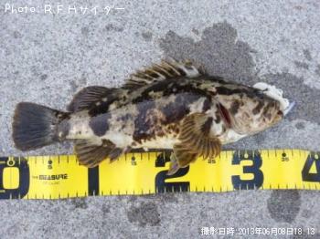 ¥¿¥±¥Î¥³¥á¥Ð¥ë