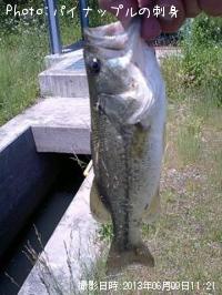 ¥Ö¥é¥Ã¥¯¥Ð¥¹