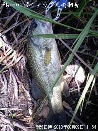 �֥�å��Х�