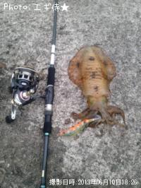 �����ꥤ��