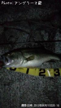 �֥�å��Х�