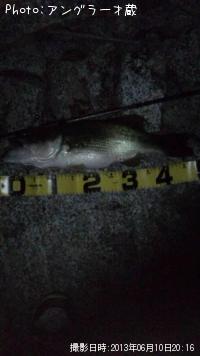 �֥�å��Х�