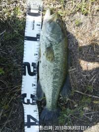 ¥Ö¥é¥Ã¥¯¥Ð¥¹