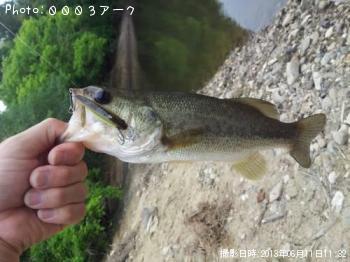 �֥�å��Х�