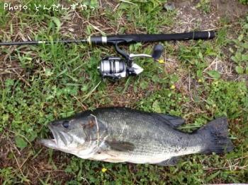 �֥�å��Х�