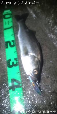 �����Х�������