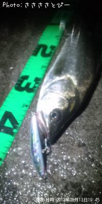 �����Х�������