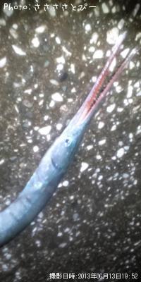 �����Х�������