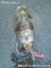 �����ꥤ��