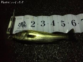 �����Х�