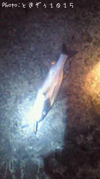 �����Х�