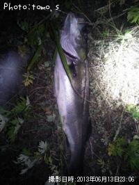 �����Х��ʥեå���