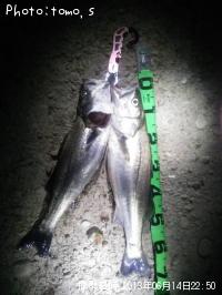 �����Х�