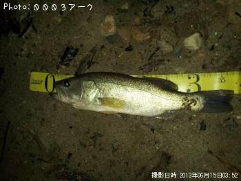 ¥Ö¥é¥Ã¥¯¥Ð¥¹