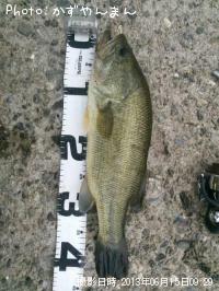 ¥Ö¥é¥Ã¥¯¥Ð¥¹