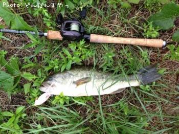 �֥�å��Х�