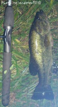 �֥�å��Х�