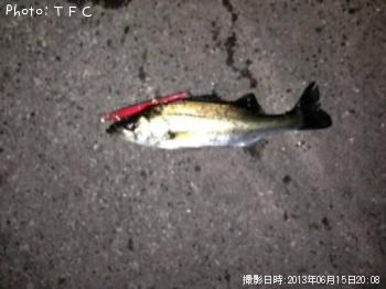 �����Х�