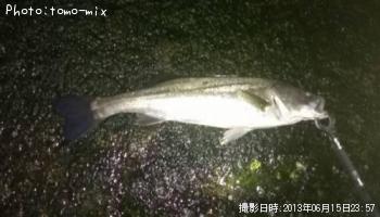 �����Х�