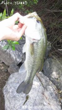 �֥�å��Х�