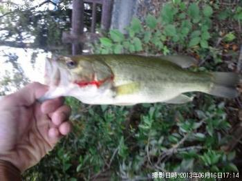 �֥�å��Х�