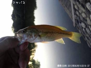 �֥�å��Х�