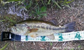 �֥�å��Х�