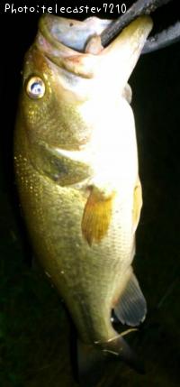 ¥Ö¥é¥Ã¥¯¥Ð¥¹