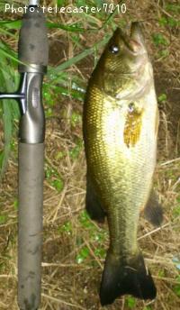 ¥Ö¥é¥Ã¥¯¥Ð¥¹