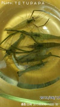 ��Ĺ����