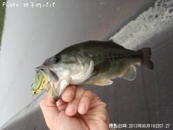 ¥Ö¥é¥Ã¥¯¥Ð¥¹