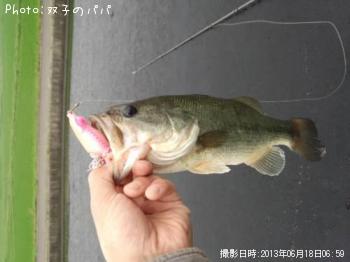 ¥Ö¥é¥Ã¥¯¥Ð¥¹