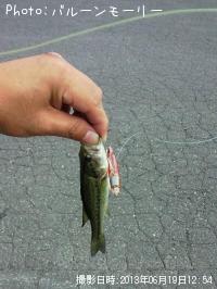 ¥Ö¥é¥Ã¥¯¥Ð¥¹