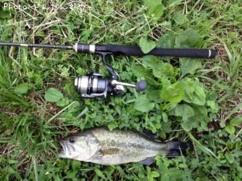 �֥�å��Х�