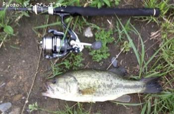 �֥�å��Х�