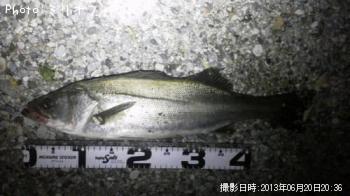 �����Х�