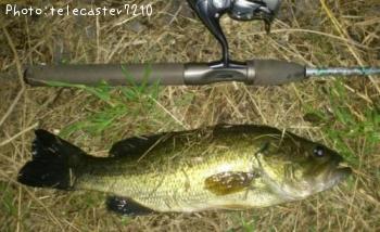 �֥�å��Х�