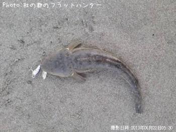 �ޥ���