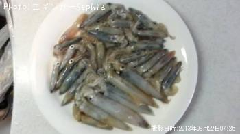 �ҥ�������ꥤ��