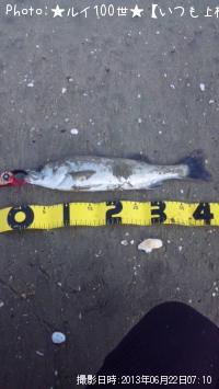 �����Х�