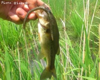 ¥Ö¥é¥Ã¥¯¥Ð¥¹¡¡