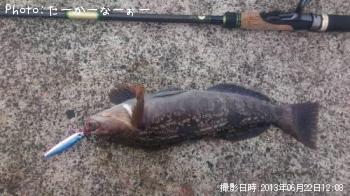 �����ʥ�