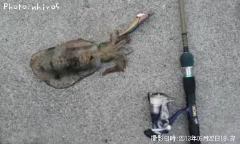 �����ꥤ��