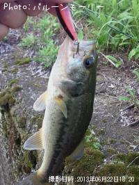 �֥�å��Х�