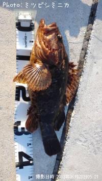 �����Υ���Х�