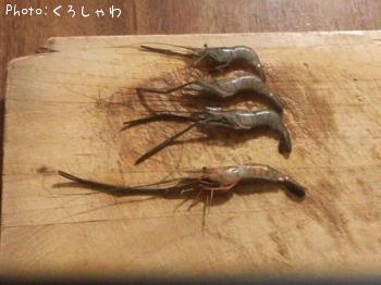 ��Ĺ����