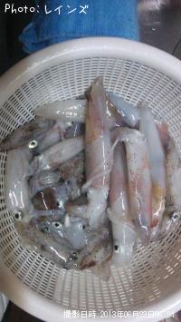 �ҥ�������ꥤ���������Υ�