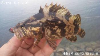 �ҥ�������ꥤ���������Υ�