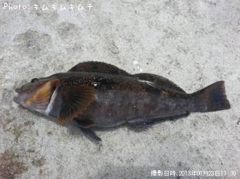 �����ʥ�